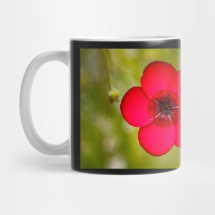 Scarlet Flax Flower Mug